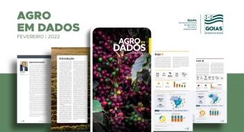 Produção de café deve aumentar 6,7% na safra 2021/2022, em Goiás